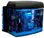 компьютер-аквариум в минеральном масле